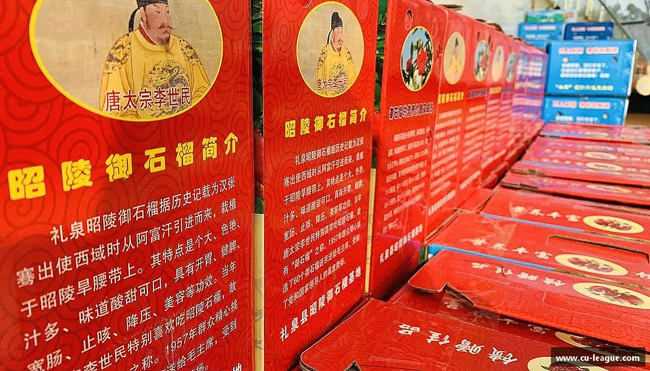 青春梦想，汇聚体育